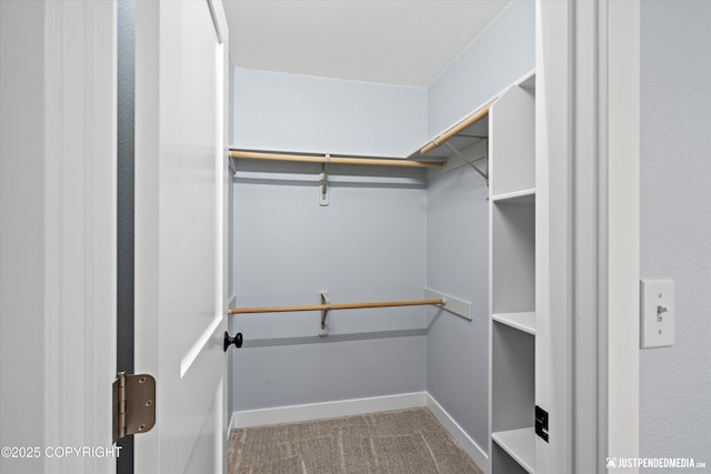 spacious closet with carpet floors