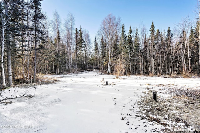 snowy view with a forest view