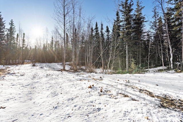 snowy view featuring a forest view