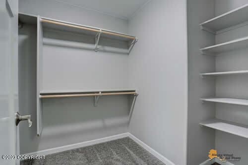 spacious closet with carpet floors