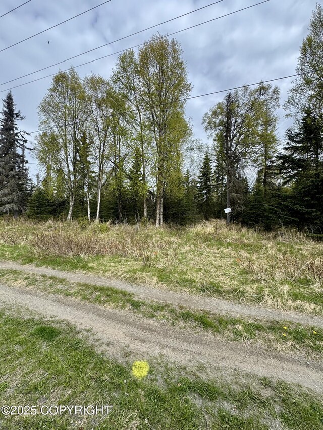 2604 Redoubt Ave, Kenai, AK 99611 - photo 3