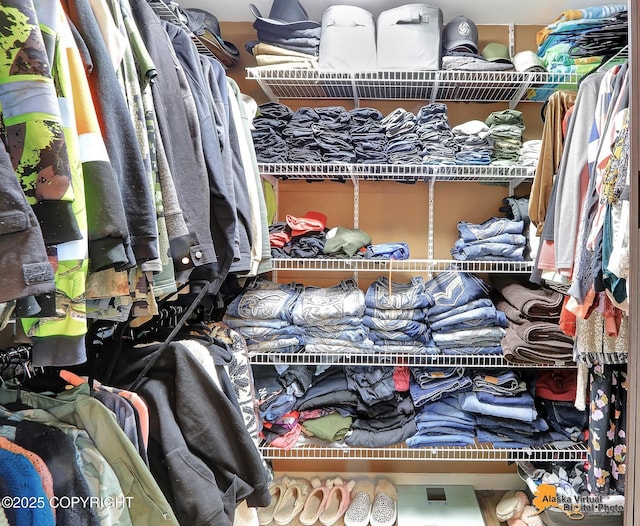 view of walk in closet