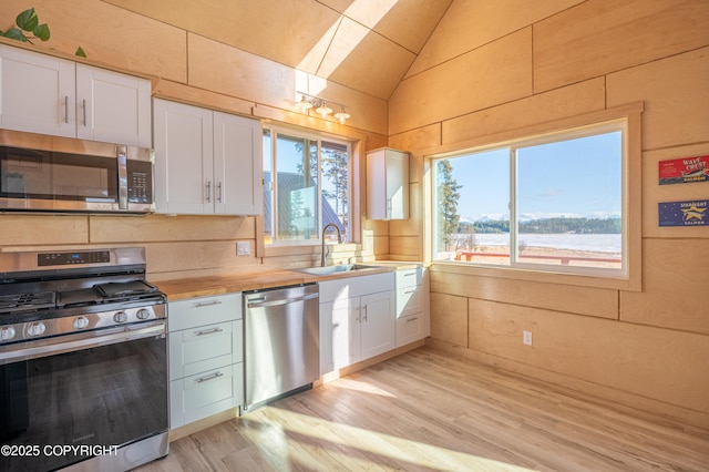 kitchen featuring a wealth of natural light, stainless steel appliances, lofted ceiling, and a sink