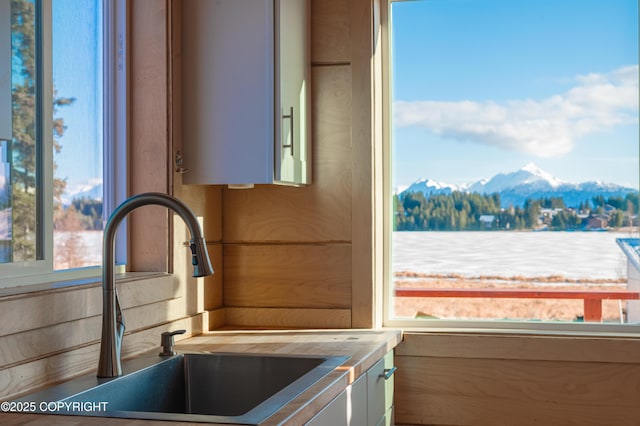 room details featuring white cabinets, a mountain view, and a sink