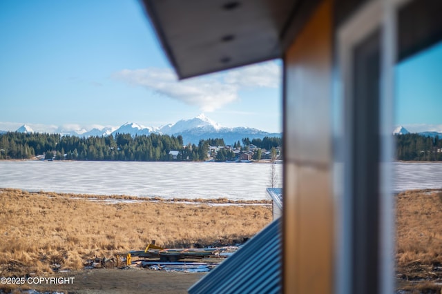 property view of water with a mountain view