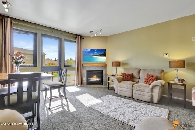 living area featuring a glass covered fireplace, rail lighting, and carpet