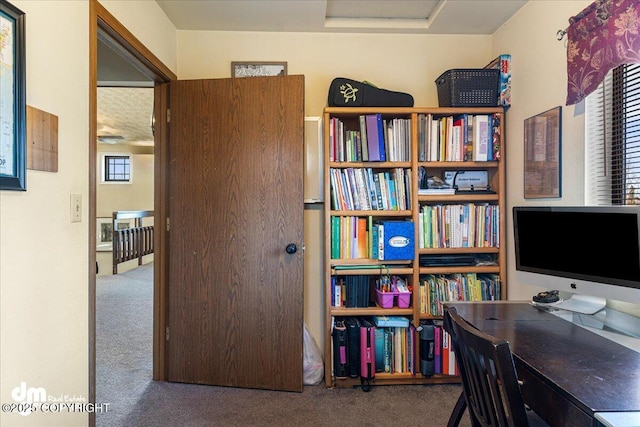 office space featuring carpet floors