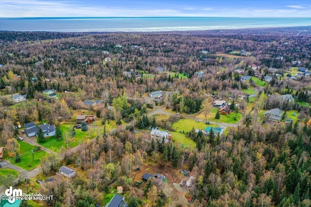 drone / aerial view with a forest view