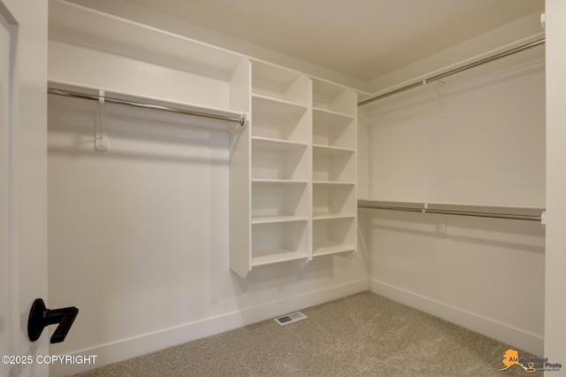 spacious closet featuring visible vents and carpet floors