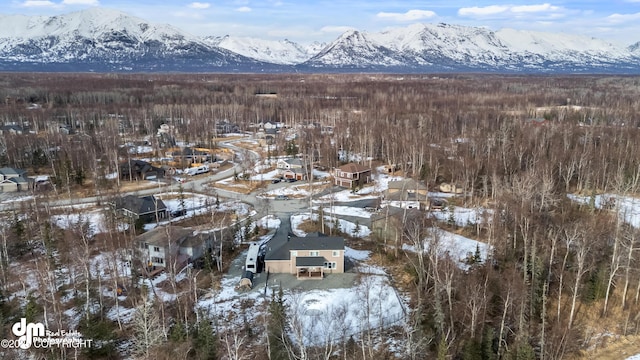 snowy aerial view featuring a mountain view