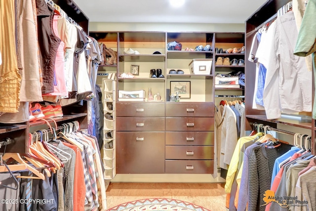 view of walk in closet