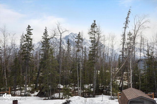 view of snowy landscape