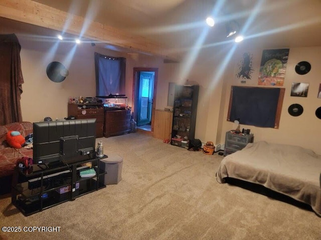 bedroom with carpet