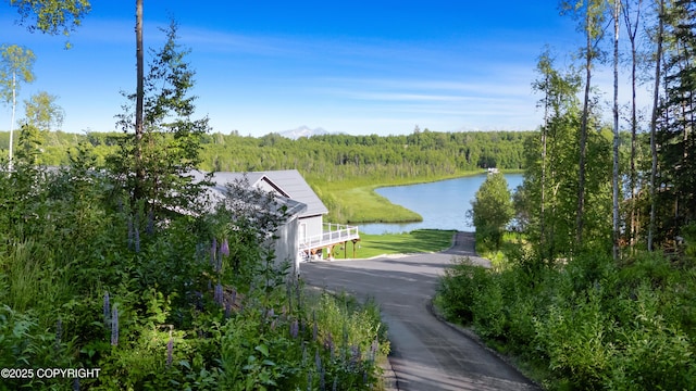 property view of water featuring a forest view