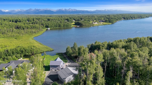 birds eye view of property with a forest view and a water and mountain view