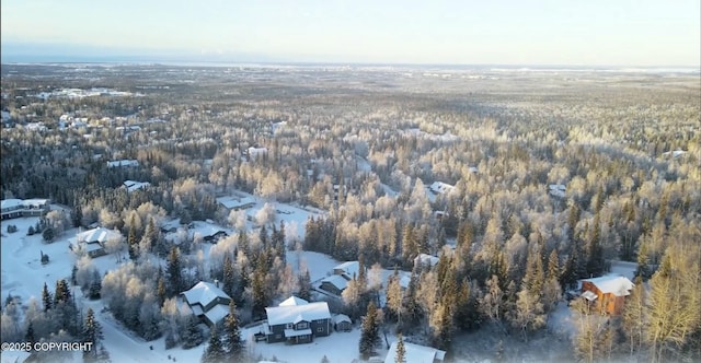 snowy aerial view featuring a wooded view