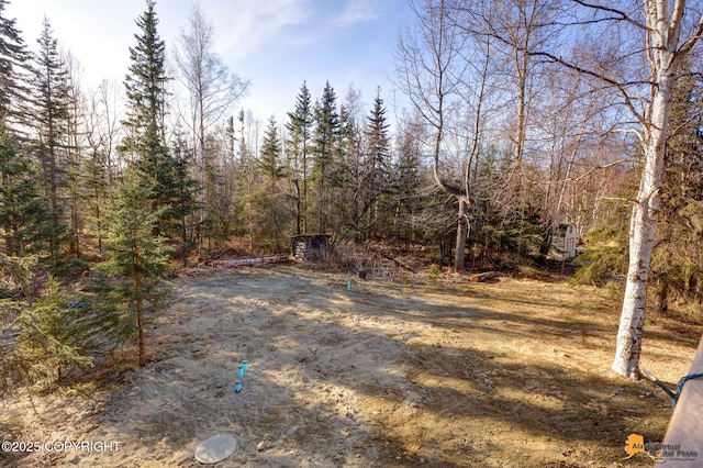 view of yard featuring a wooded view