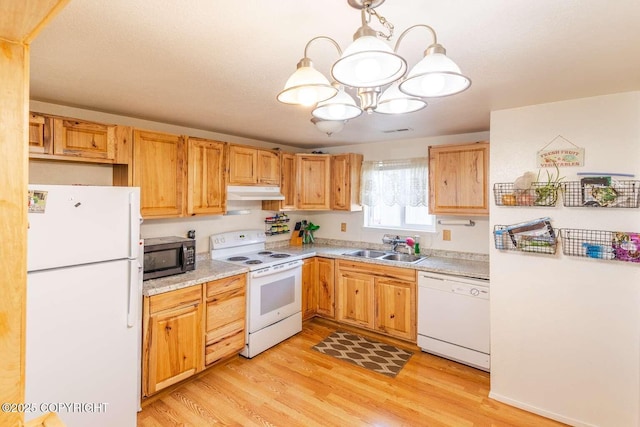 kitchen featuring under cabinet range hood, white appliances, light countertops, and a sink