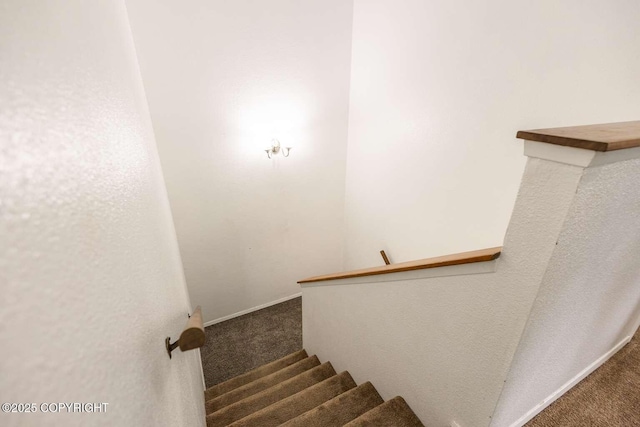 stairs featuring baseboards and carpet