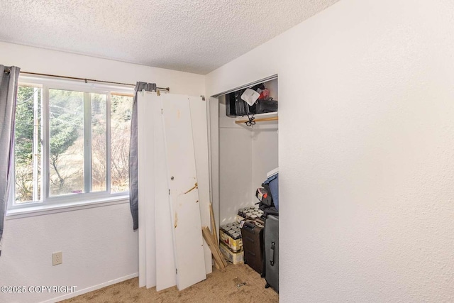 bedroom with multiple windows, light colored carpet, a closet, and a textured ceiling