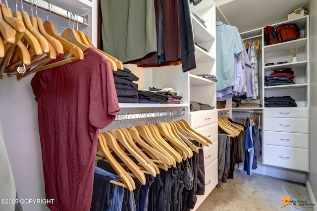 walk in closet featuring carpet floors