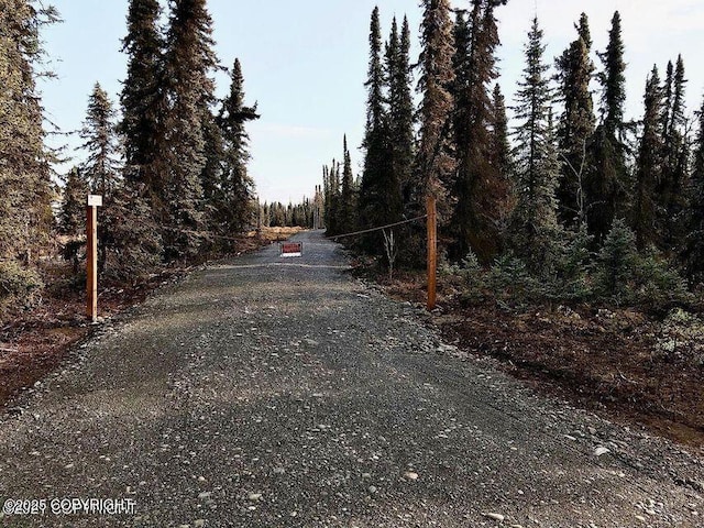 000 Barbara St, Sterling, AK 99672 - view of dirt / gravel road