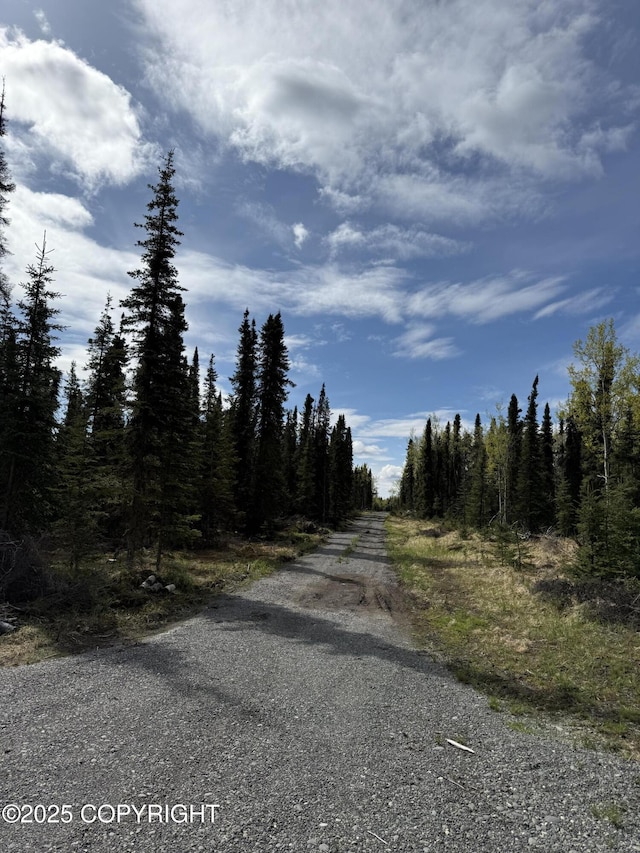 000 Barbara St, Sterling, AK 99672 - view of street