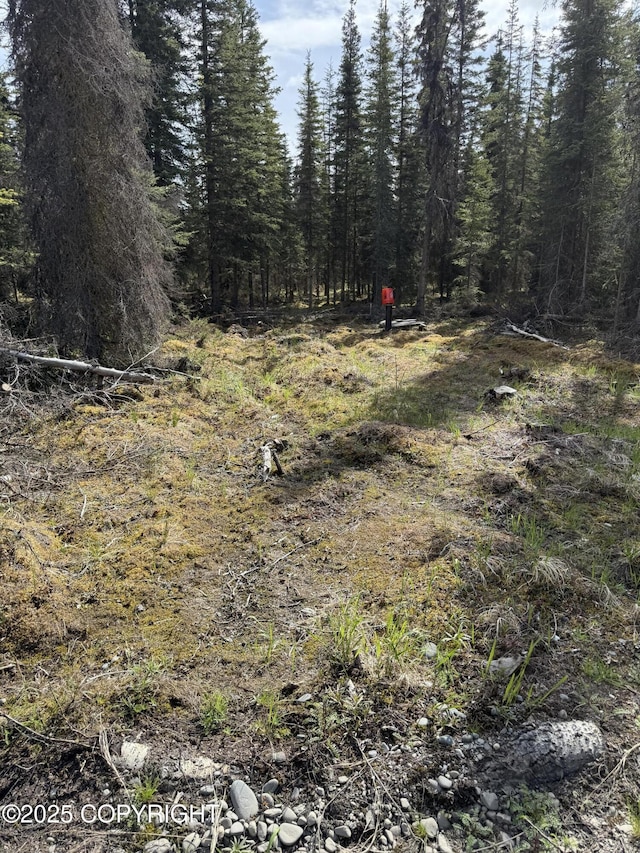 000 Barbara St, Sterling, AK 99672 - view of local wilderness