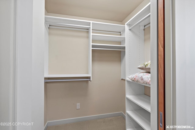 1665 Bob Atwood Cir, Anchorage, AK 99517 - view of spacious closet