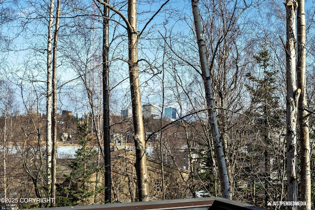 1665 Bob Atwood Cir, Anchorage, AK 99517 - property view of mountains