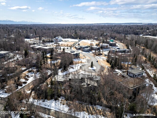 1665 Bob Atwood Cir, Anchorage, AK 99517 - snowy aerial view featuring a wooded view