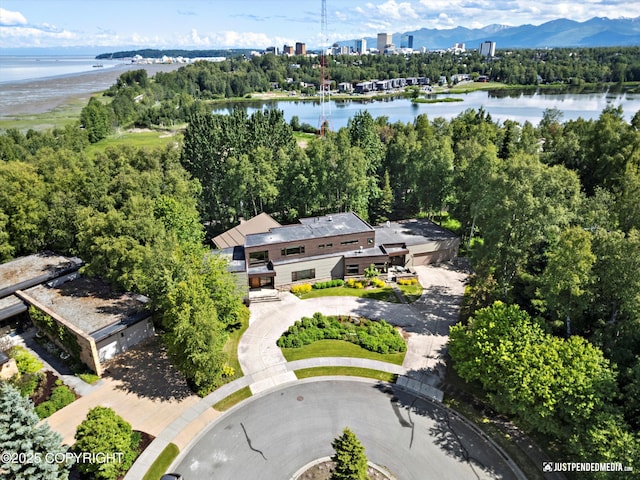 1665 Bob Atwood Cir, Anchorage, AK 99517 - bird's eye view of a nearby body of water and a tree filled landscape