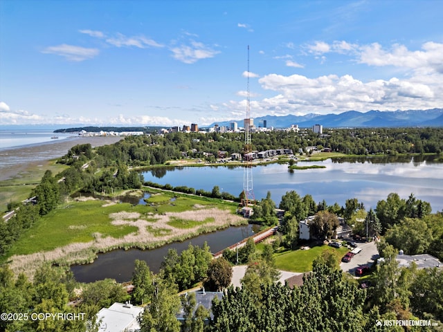 1665 Bob Atwood Cir, Anchorage, AK 99517 - bird's eye view of a large body of water