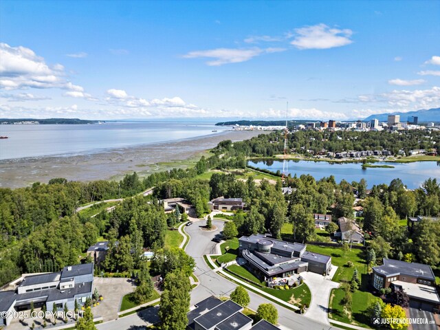 1665 Bob Atwood Cir, Anchorage, AK 99517 - drone / aerial view of a nearby body of water