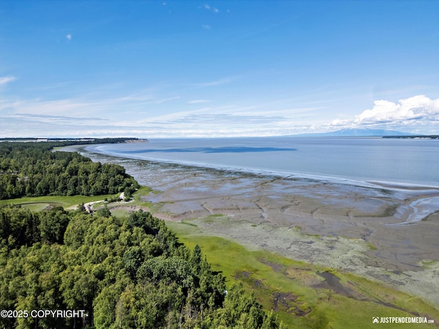 1665 Bob Atwood Cir, Anchorage, AK 99517 - bird's eye view of a nearby body of water