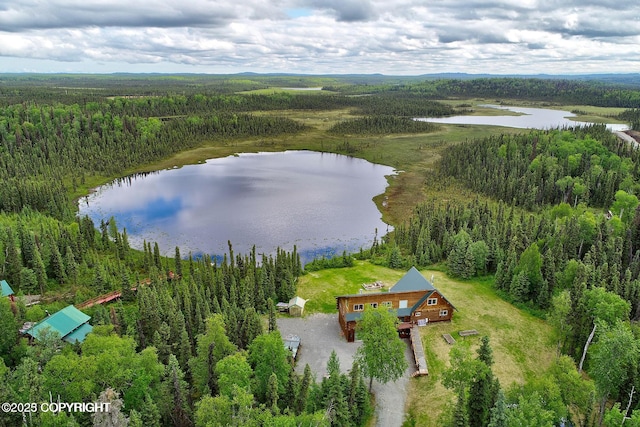 aerial view with a water view and a view of trees