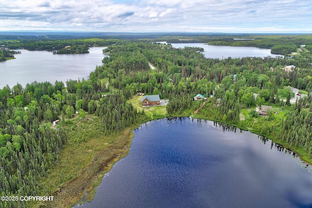 birds eye view of property featuring a view of trees and a water view