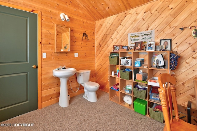 bathroom featuring a sink, toilet, and wooden walls