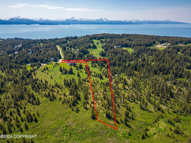 4695 Lincoln Cir, Homer AK, 99603 land for sale