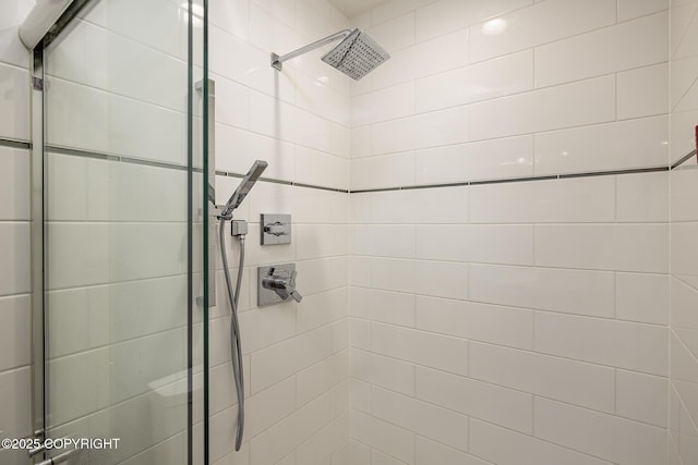 9475 E Spring Creek Cir, Wasilla, AK 99654 - full bathroom featuring a shower stall