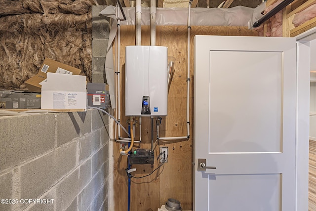 9475 E Spring Creek Cir, Wasilla, AK 99654 - utility room featuring tankless water heater