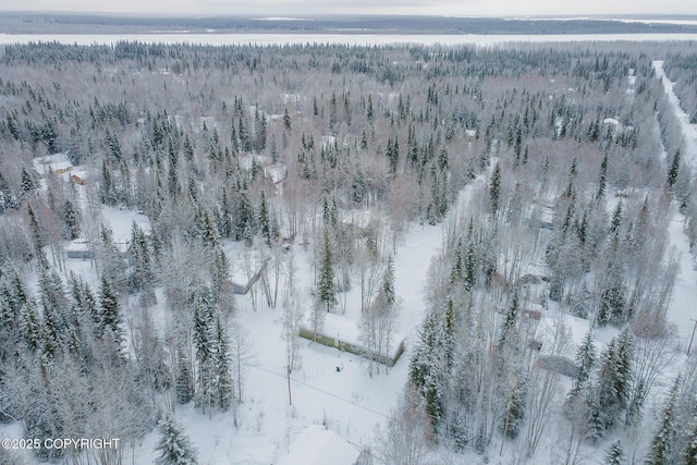 snowy aerial view with a view of trees