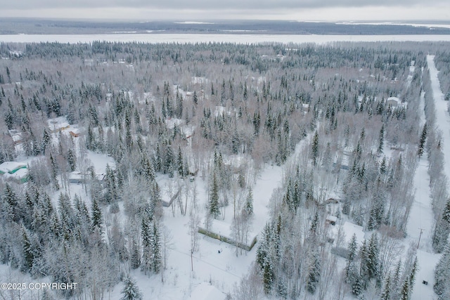 snowy aerial view featuring a forest view