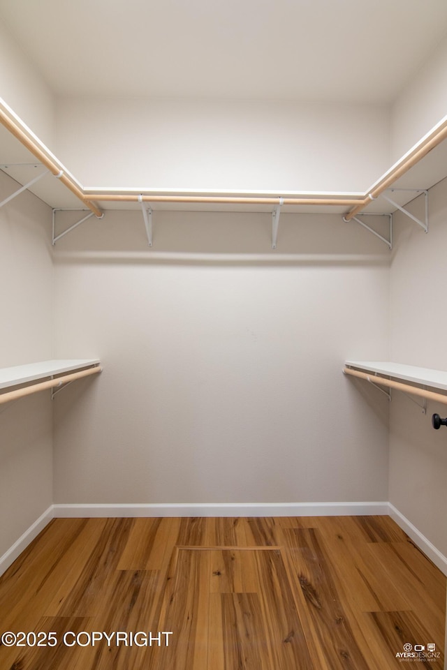 walk in closet with wood finished floors