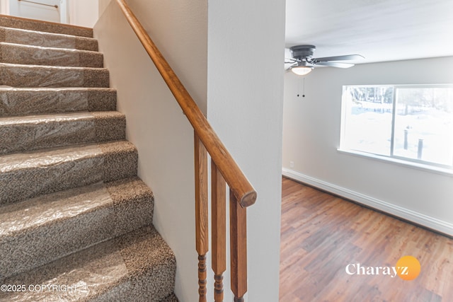 stairs with ceiling fan, baseboards, and wood finished floors