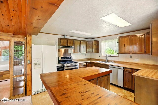 24508 Reese Rd, Chugiak, AK 99567 - kitchen featuring wooden counters, stainless steel appliances, a sink, open shelves, and under cabinet range hood