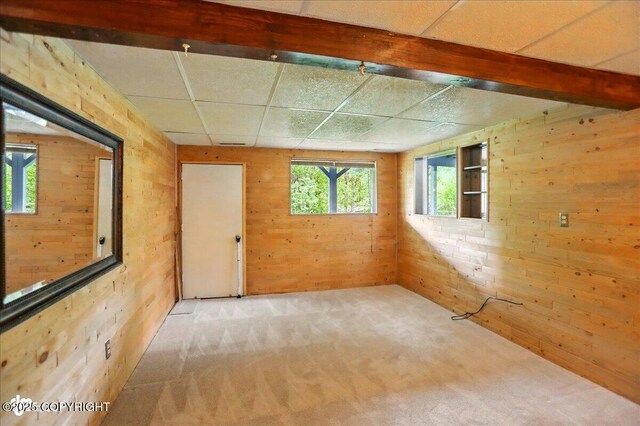 24508 Reese Rd, Chugiak, AK 99567 - spare room featuring wooden walls, carpet flooring, and healthy amount of natural light