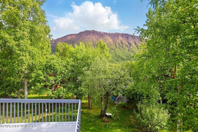 24508 Reese Rd, Chugiak, AK 99567 - mountain view