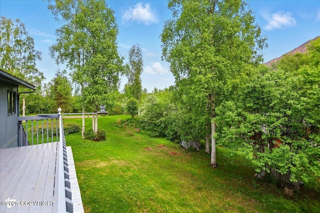 24508 Reese Rd, Chugiak, AK 99567 - view of green lawn