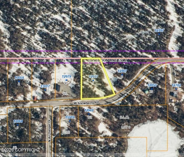 12937 Snowberry Rd, Willow AK, 99688 land for sale